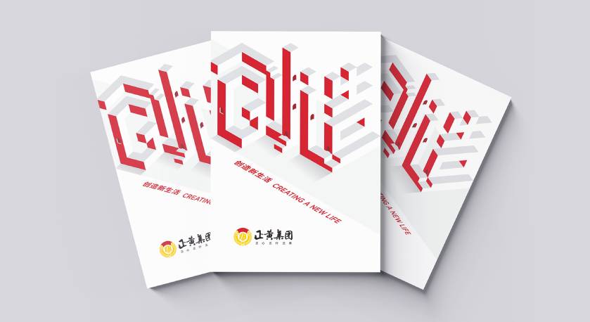 临颍县宣传册设计：以精准触达，奏响城市发展的时代旋律
